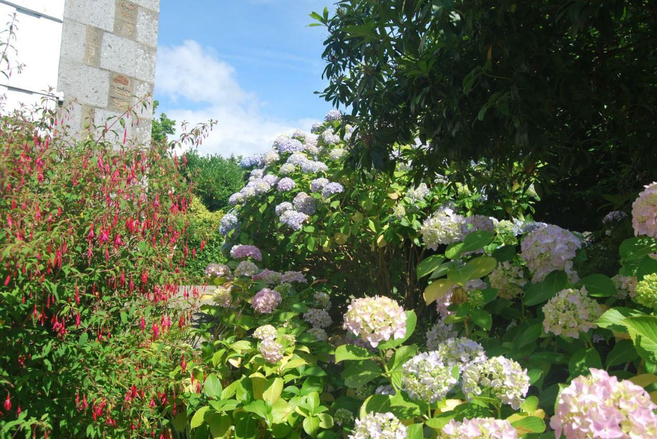 B&B Le Mesnil Saint-Senier-sous-Avranches Esterno foto